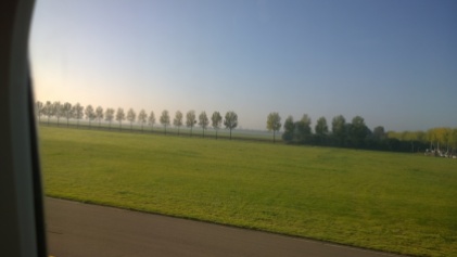 Trees along the runway in a misty Amsterdam.